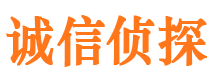 稻城侦探公司